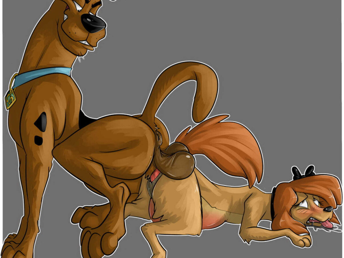 Scooby and Dixie Sex Animal Penis Penetration Penis Pussy < Your Cartoon  Porn