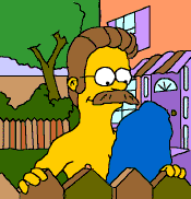 Ned Flanders Gif