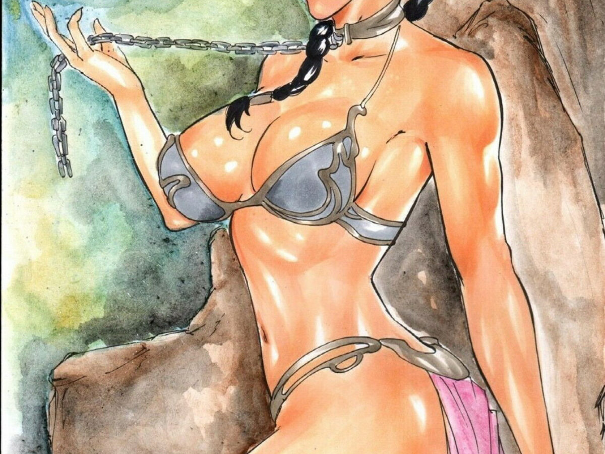 Princess Leia Organa and Slave Leia Tits Upskirt Panties Big Breastu003e Your Cartoon Porn image