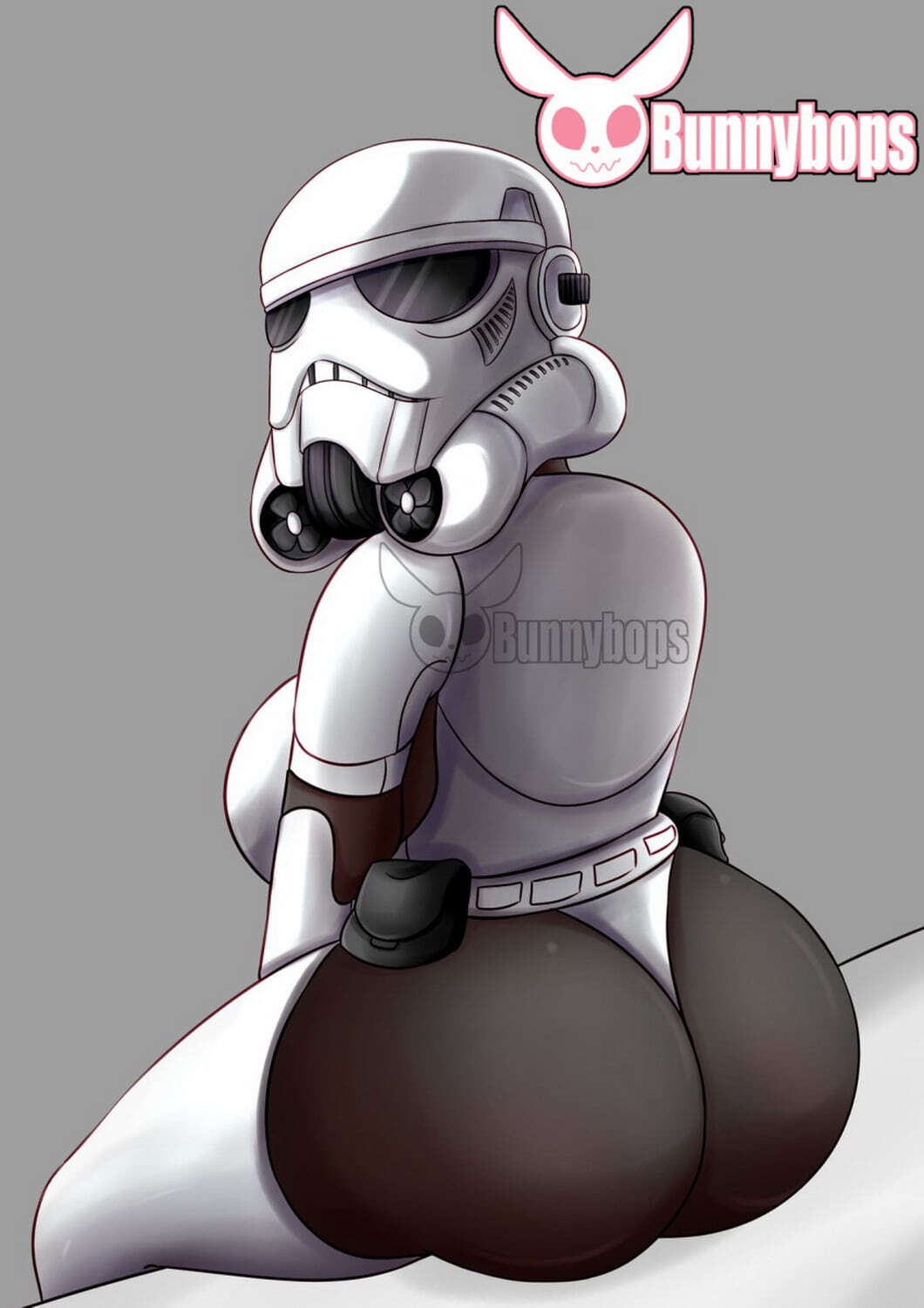 Stormtrooper and Female Stormtrooper Curvy Female Only Underwear.